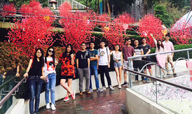 團(tuán)隊(duì)秋游 團(tuán)隊(duì)秋游