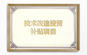 技術(shù)改造投資補(bǔ)貼項(xiàng)目 技術(shù)改造投資補(bǔ)貼項(xiàng)目